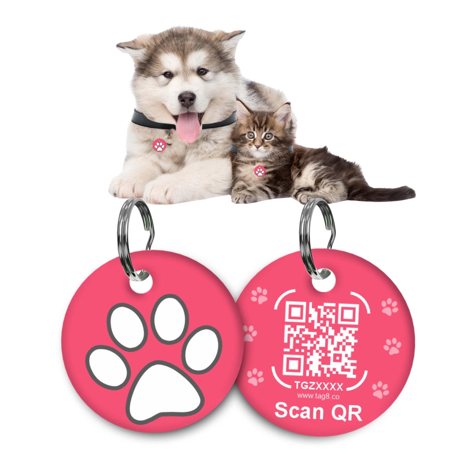 Geenie Pet Tag