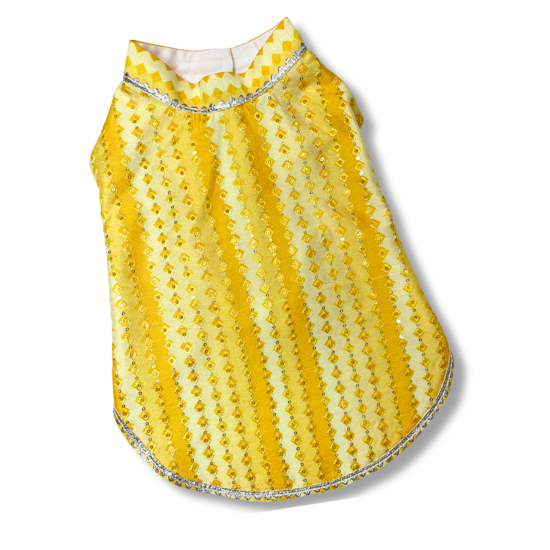 Pet Sherwani- by Fureverpupps