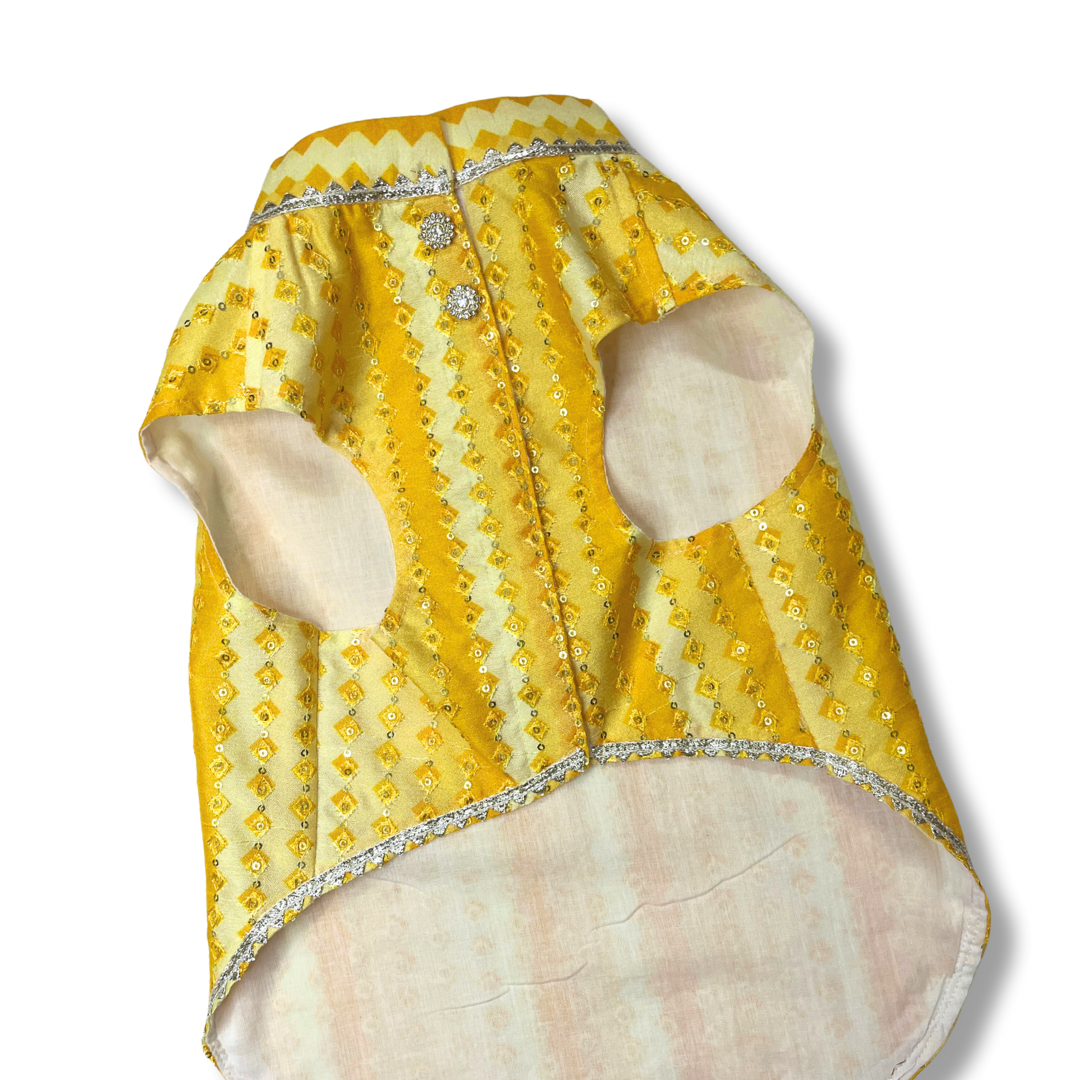 Pet Sherwani- by Fureverpupps