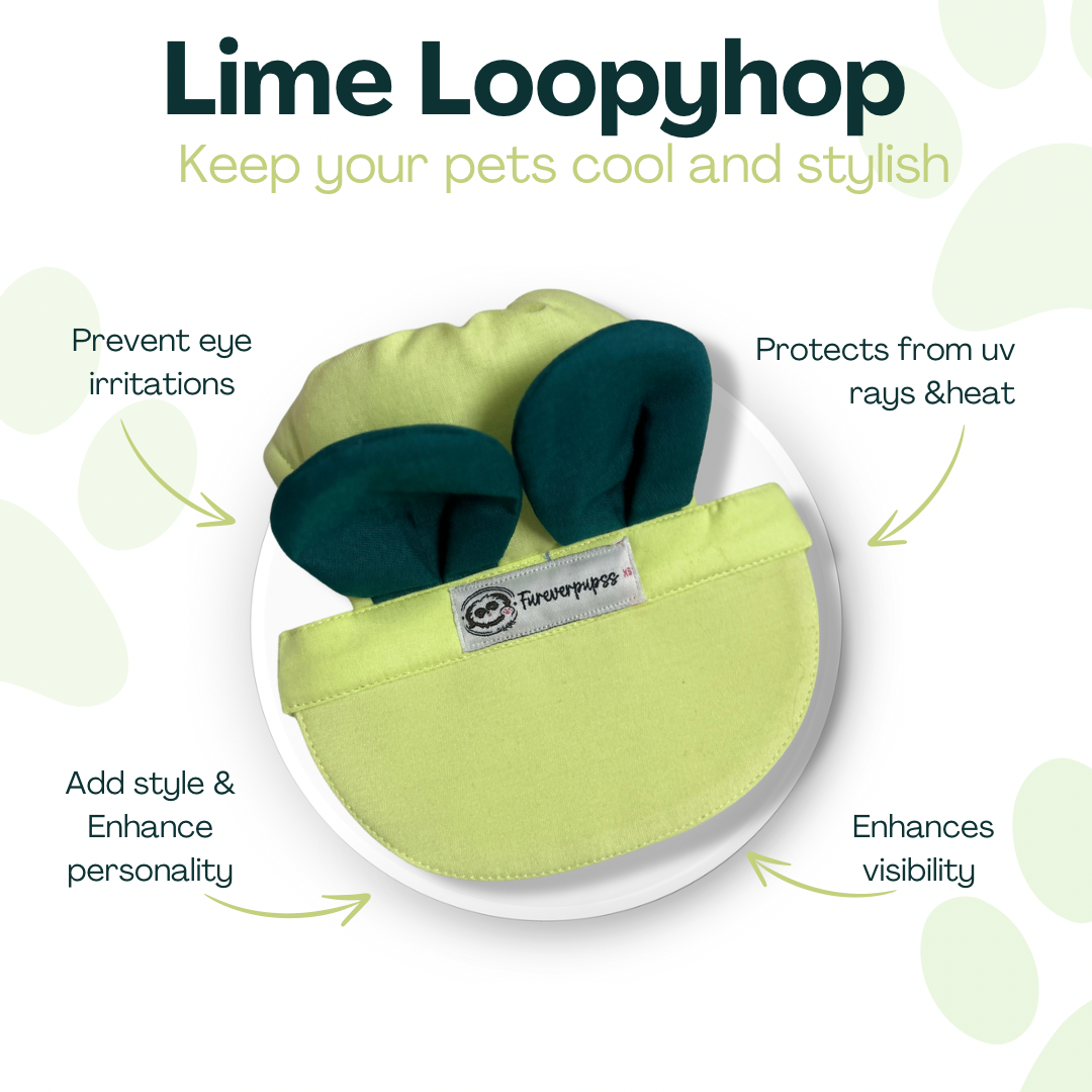 Pet Bunny caps- by Fureverpupps