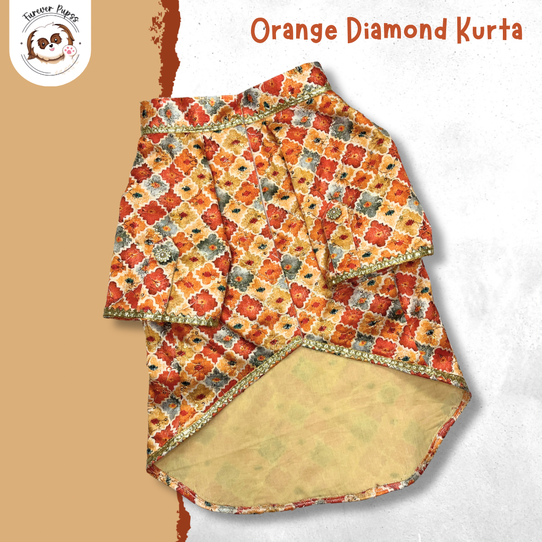 Festive Kurta- by Fureverpupps