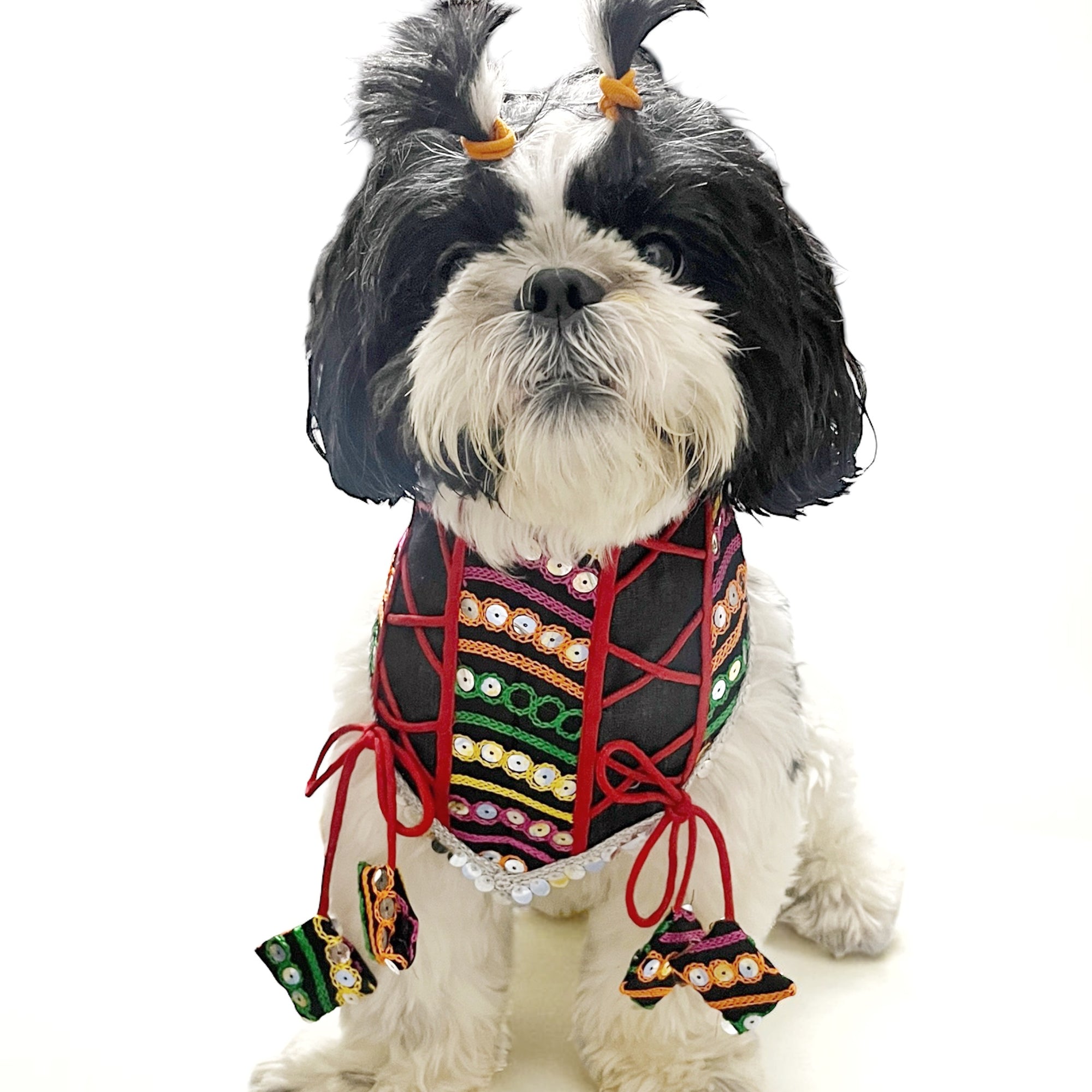 Navratri Bandana- by Fureverpupps