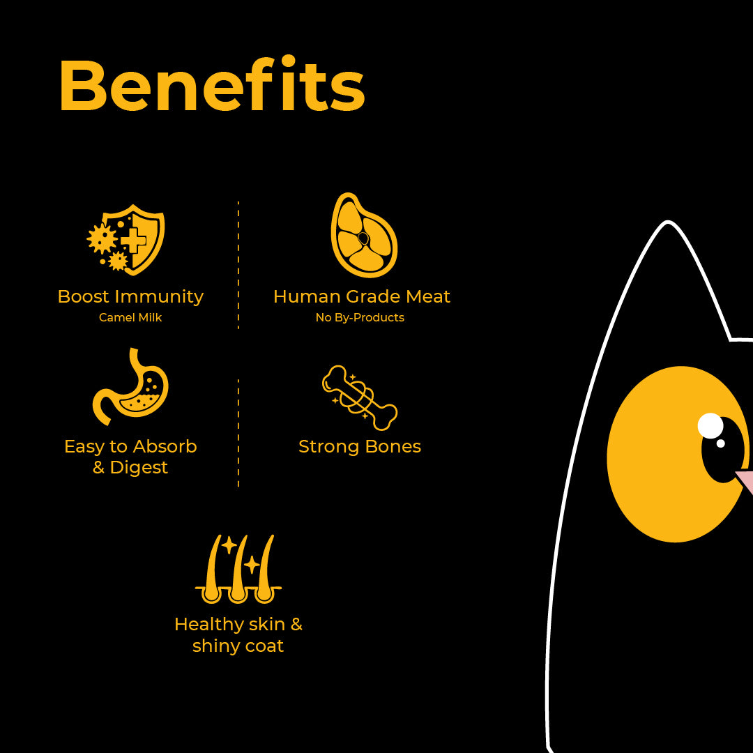 Purrkins Chicken & Liver Pudding Meal (80g packs)