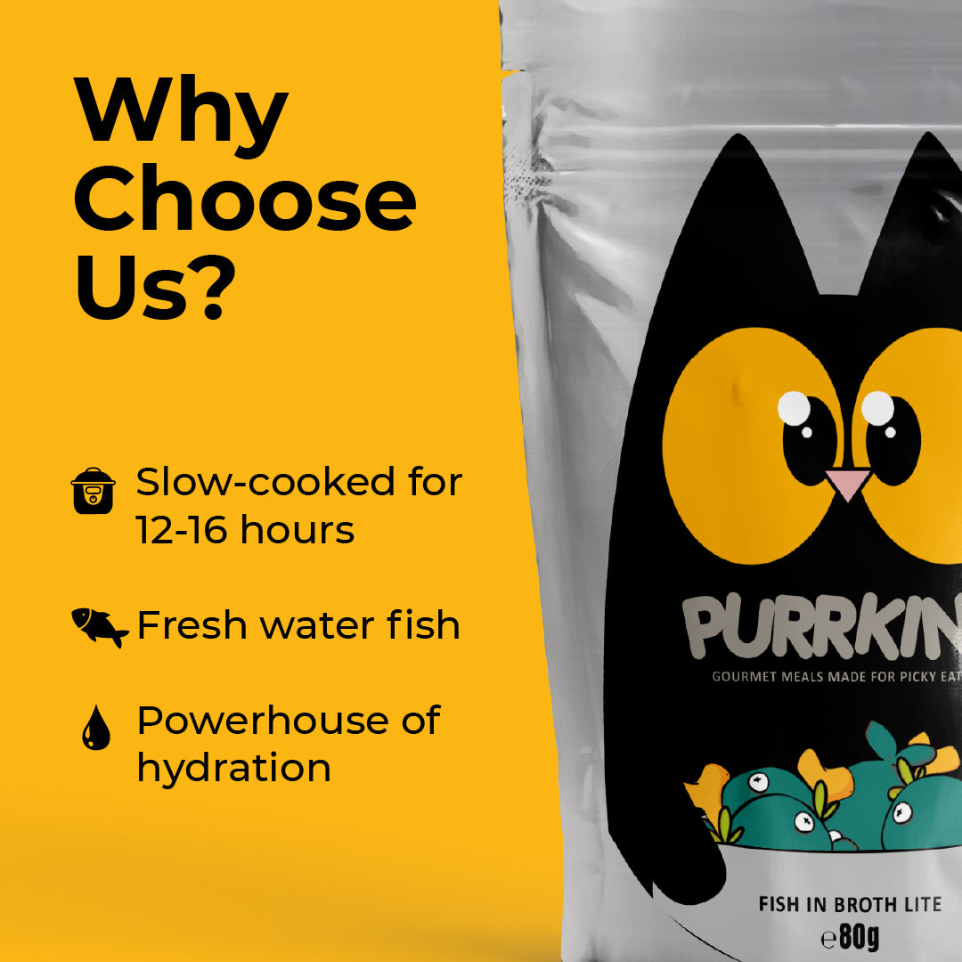 Purrkins Fish in Broth Lite (80g packs)