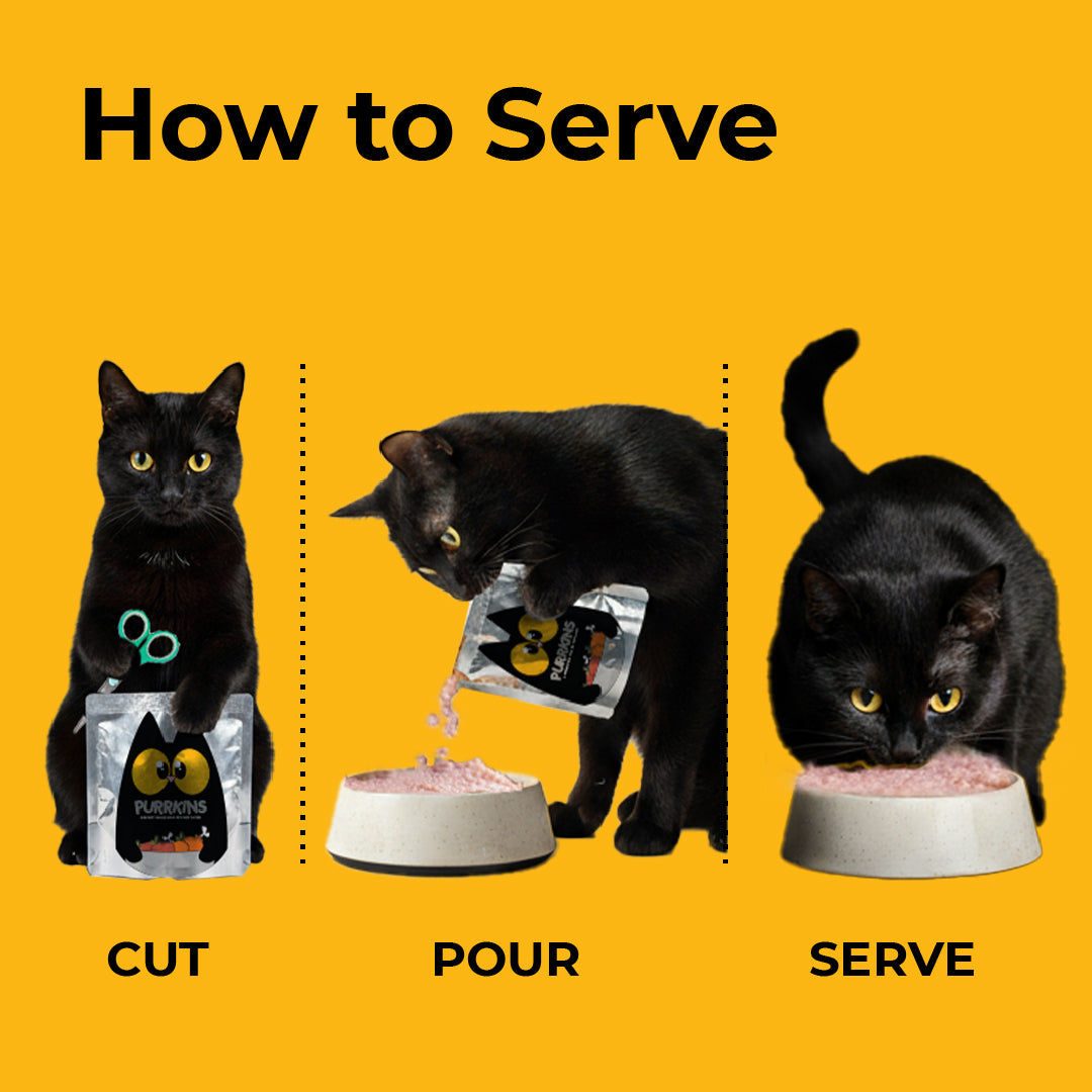 Purrkins Fish in Broth Lite (80g packs)