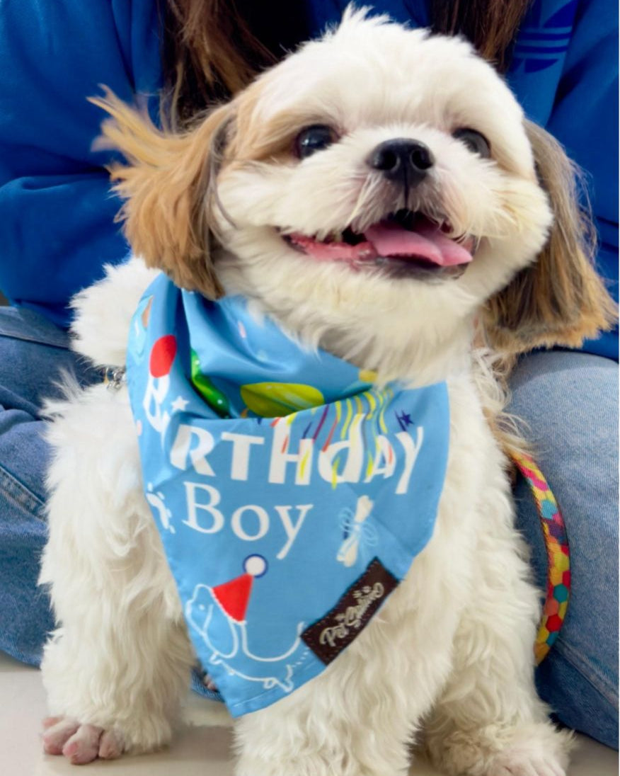 Birthday Bash Bandana - By Pet Station