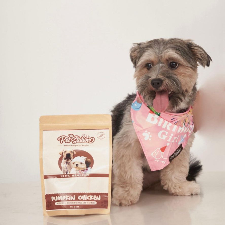 Birthday Bash Bandana - By Pet Station