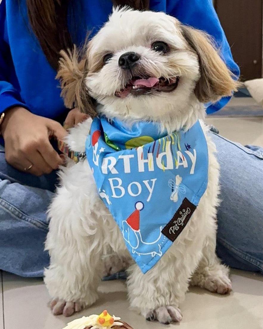 Birthday Bash Bandana - By Pet Station