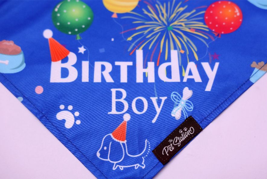 Birthday Bash Bandana - By Pet Station