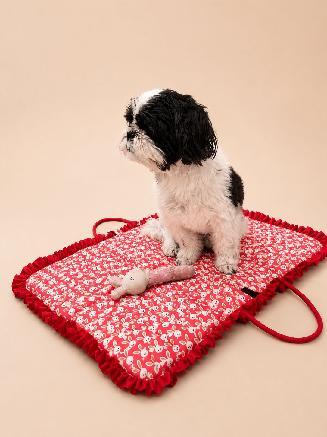 Portable Dog Travel Mat