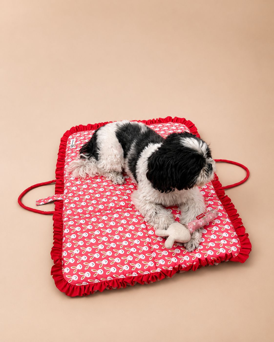 Portable Dog Travel Mat