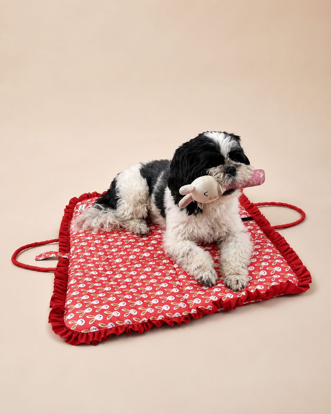 Portable Dog Travel Mat