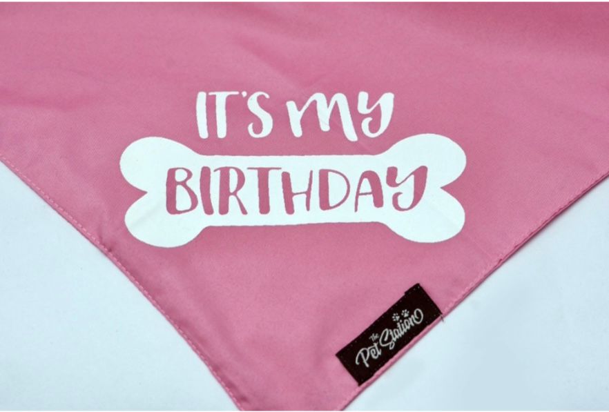 Solid Color Birthday Bandana - by Pet Station