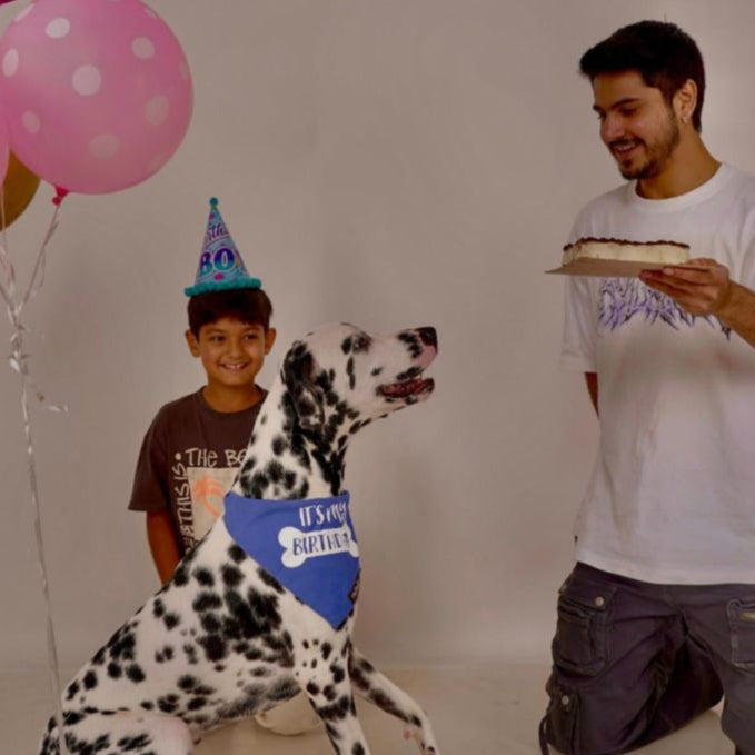 Solid Color Birthday Bandana - by Pet Station