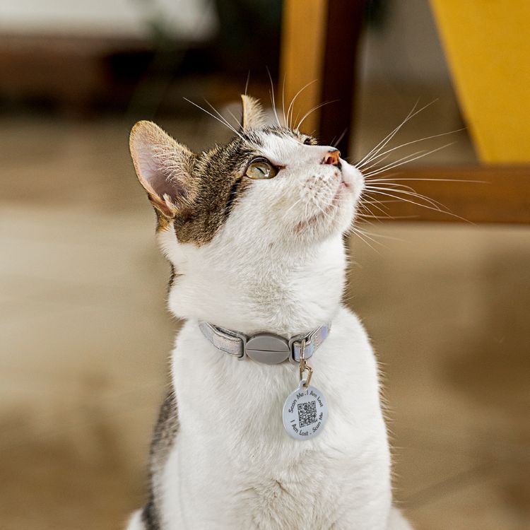 Smart Pet ID with GPS tracking - furtag